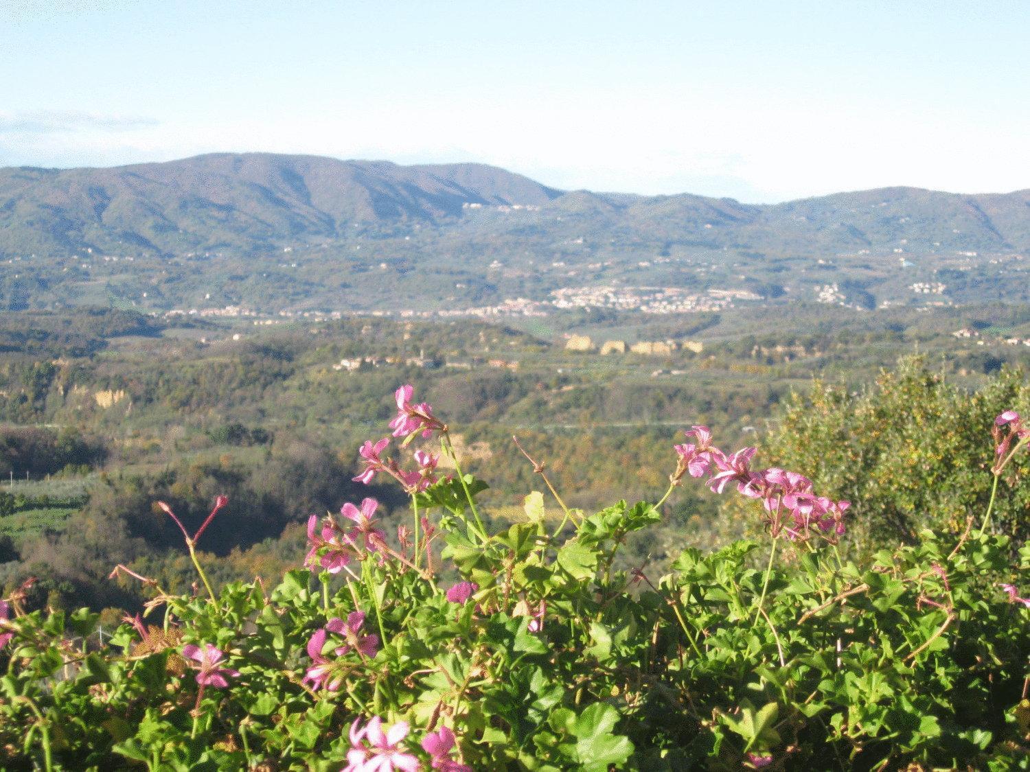 Agriturismo La Capitata Pian di Scò Eksteriør billede