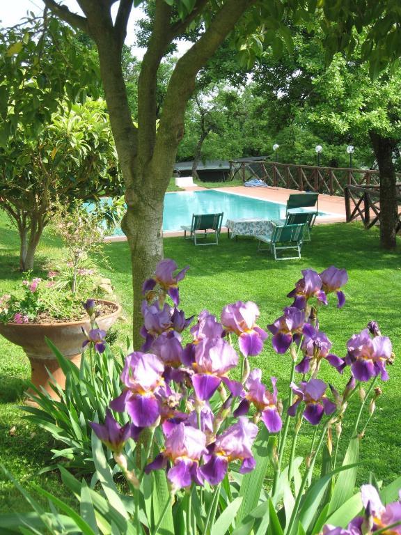 Agriturismo La Capitata Pian di Scò Eksteriør billede